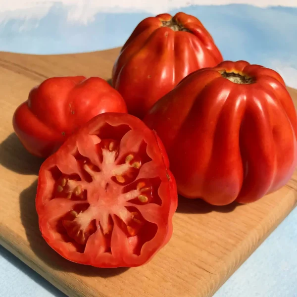 Cesare-s-Canestrino-di-Lucca-Tomato-vendor-unknown-1630679848 Prime Canestrino Heirloom Tomato F1 – Classic Italian Oxheart for Sauces