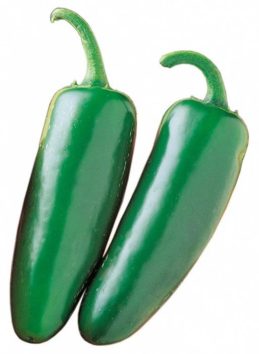 Pep_Mucho_Nacho_cmyk-1_513x700 Jalapeno Mexican Pepper Hybrid F1 – Spicy, High-Yield