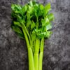celery-stalks-a463fb3-scaled Celery Seeds – Crisp, Aromatic Stalks for Salads & Soups