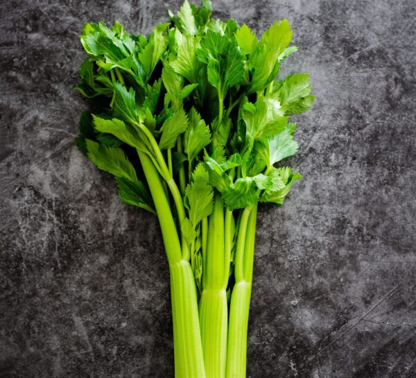 celery-stalks-a463fb3-scaled Celery Seeds – Crisp, Aromatic Stalks for Salads & Soups
