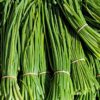 Garlic Chives Seeds – Allium tuberosum | Aromatic Herb for Cooking & Health