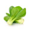 pak-choi Pak Choi Seeds – Fast-Growing, Mild Asian Green for Stir-Fries & Salads