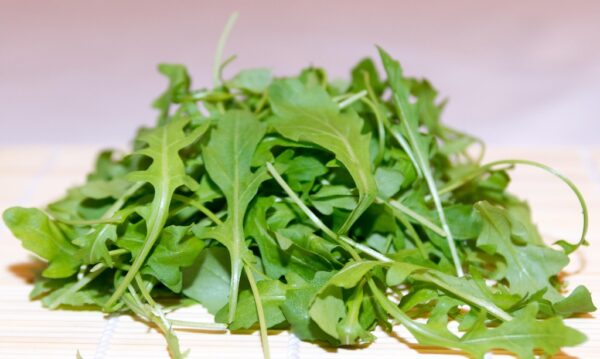 Rocket Herb Seeds – Eruca sativa | Peppery Salad Green for Pakistani Gardens