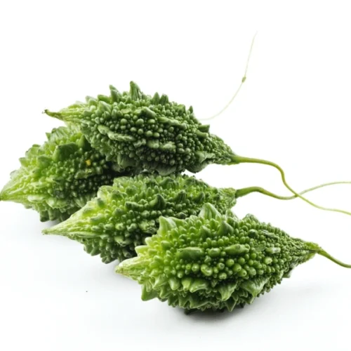 1670065730464_SKU-0041_0-500x500-1.webp