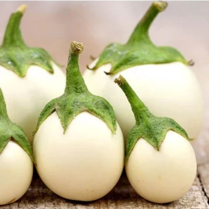 Brinjal White Round F1 Hybrid Seeds
