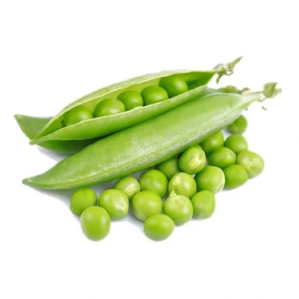 Pea seeds (matr – مٹر)