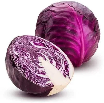 Red Cabbage Seeds (بند گوبھی)