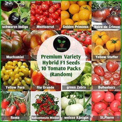 Tomato Prime Offer