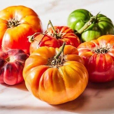 Tomato Gourmet Slicing F1 Hybrid Seeds