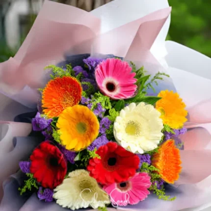 Gerbera Flower Hybrid F1 Seeds (10 Seeds)
