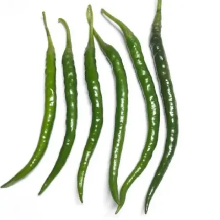 Dragon Fire Long Green Chilli Seeds