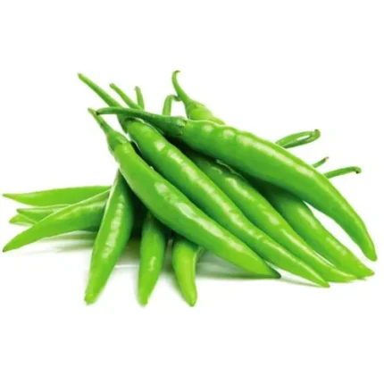 Chilli seed hybrid F1 Seed