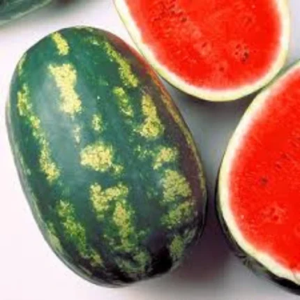 Sentinel Watermelon Seeds (F1 Hybrid)