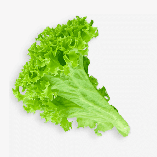 86-866730_lettuce-clipart-sliced-lettuce-leaf-transparent-background-hd-1.png