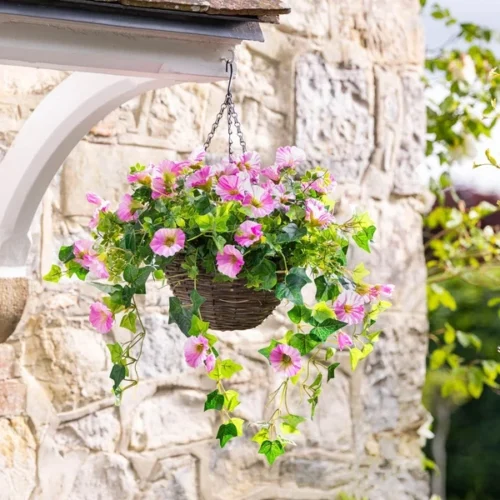 CR0346-25-PK_Petunia_Hanging_Basket_2026_Shopify_01c-500x500-1.webp