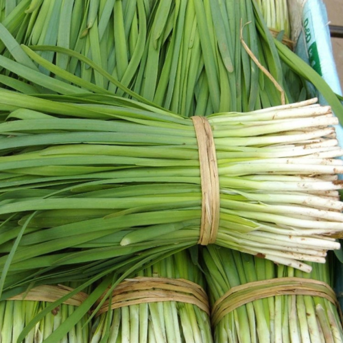High-Quality-Hybrid-F1-Chinese-Chives-Seeds-Leek-Seeds-for-Growing-Lj012-500x500-1.webp