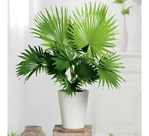 PL4536-600x548-1.webp