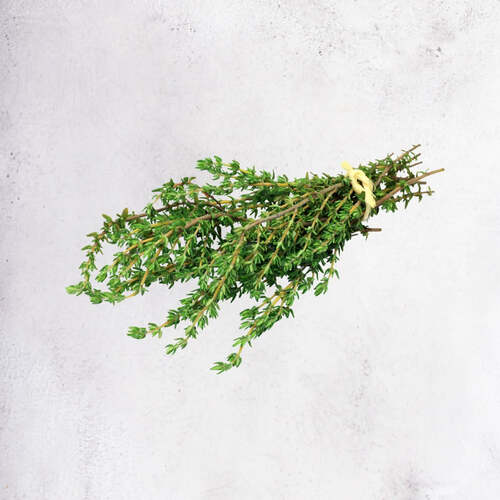 THYME-1.jpg