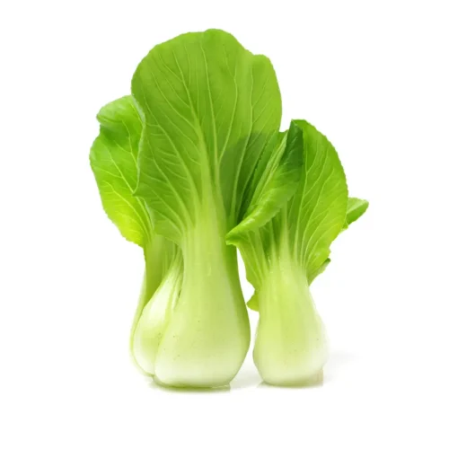 Untitled-design-40-500x500-1.webp