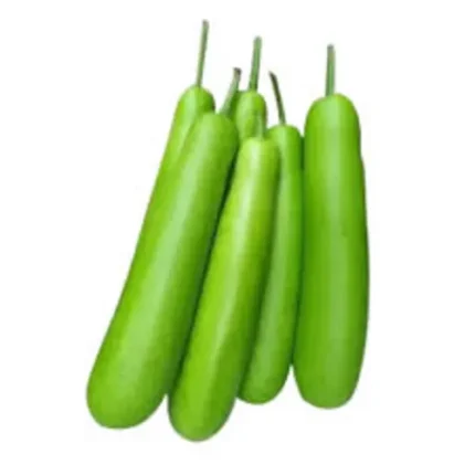 Bottle Gourd Seeds