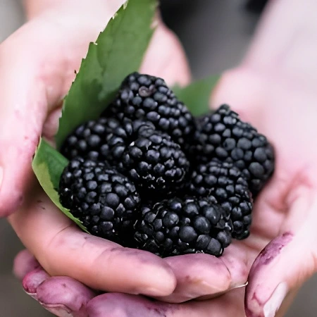 images_3_upscaled.webp