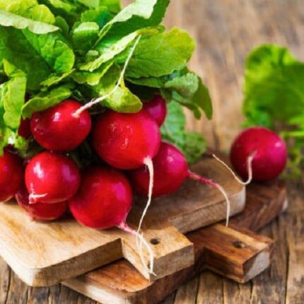 Red Radish (لال مولی) OP Seeds
