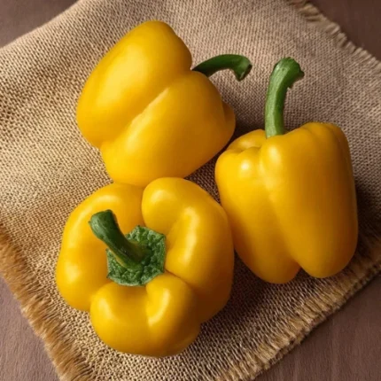 Yellow capsicum Seeds