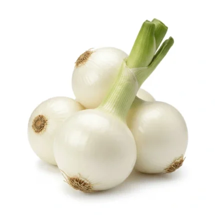 White Onion Seeds (سفید پیاز)