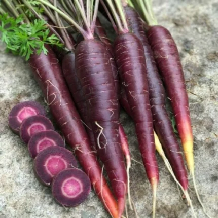 Purple Carrot Seeds (جامنی گاجر)