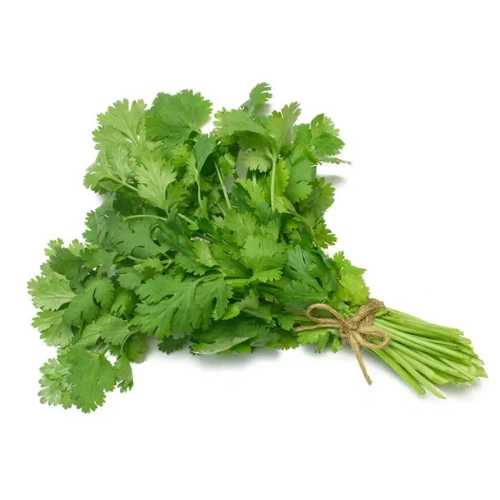 plant-2026-07-29T031858.518.webp