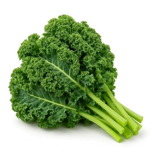 plant-2026-07-29T222808.957.webp