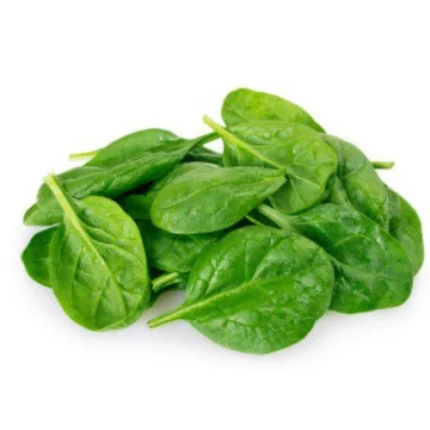 Baby Spinach (Palak) Seeds