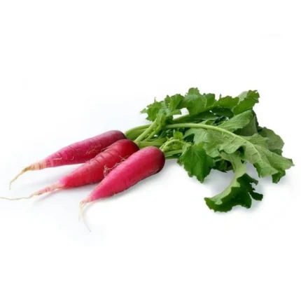 Red Long Radish (Laal Mooli) Seeds