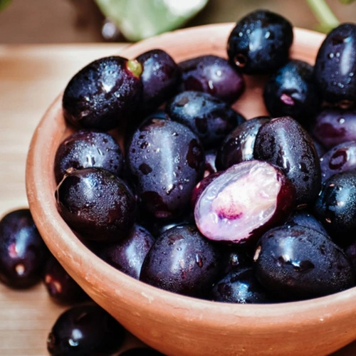 plant-2026-08-04T010338.945-1.webp
