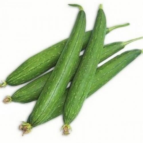 sponge-gourd-500x500-384-222493-030219011823-1.jpg