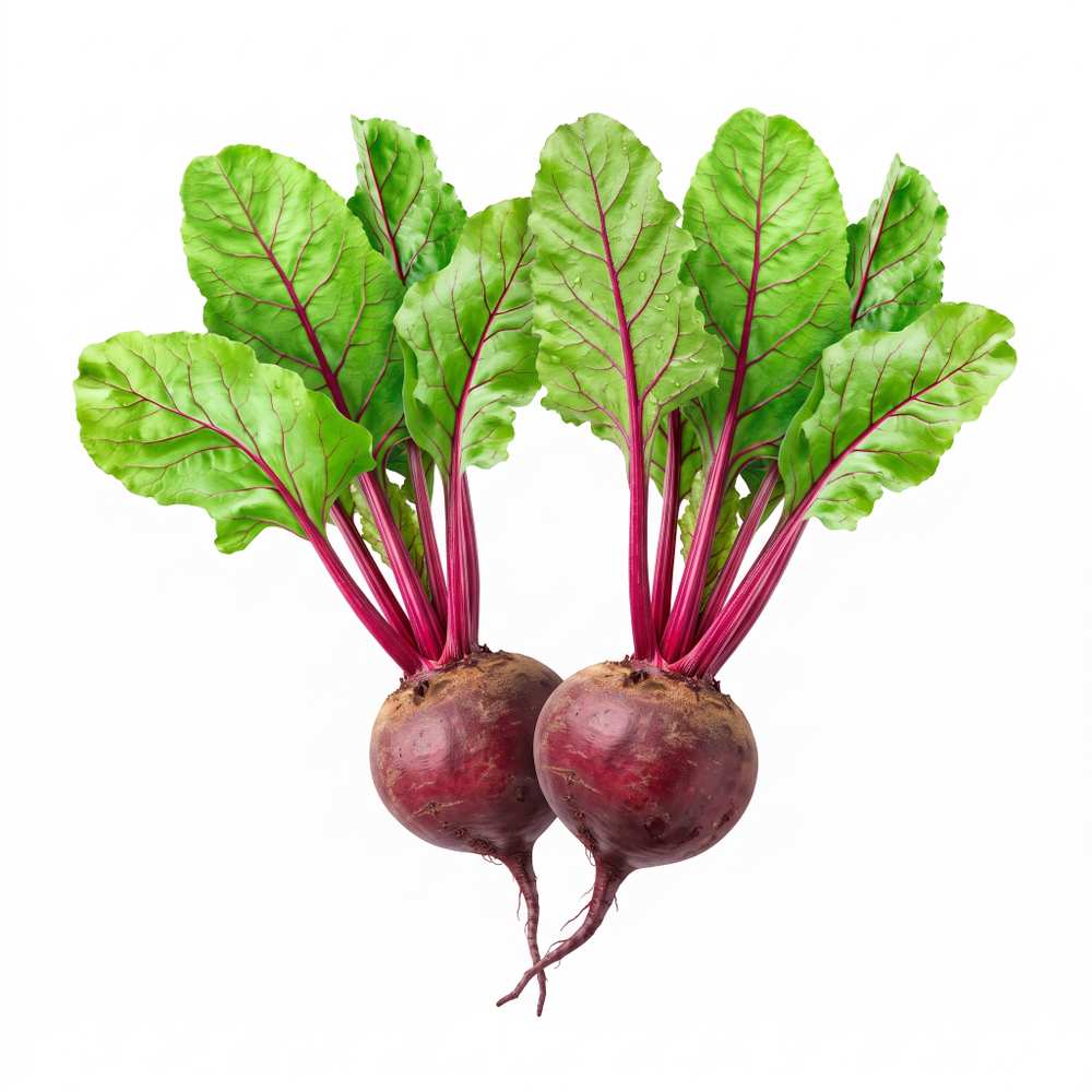 Beetroot Beetroot vegetable seed packet