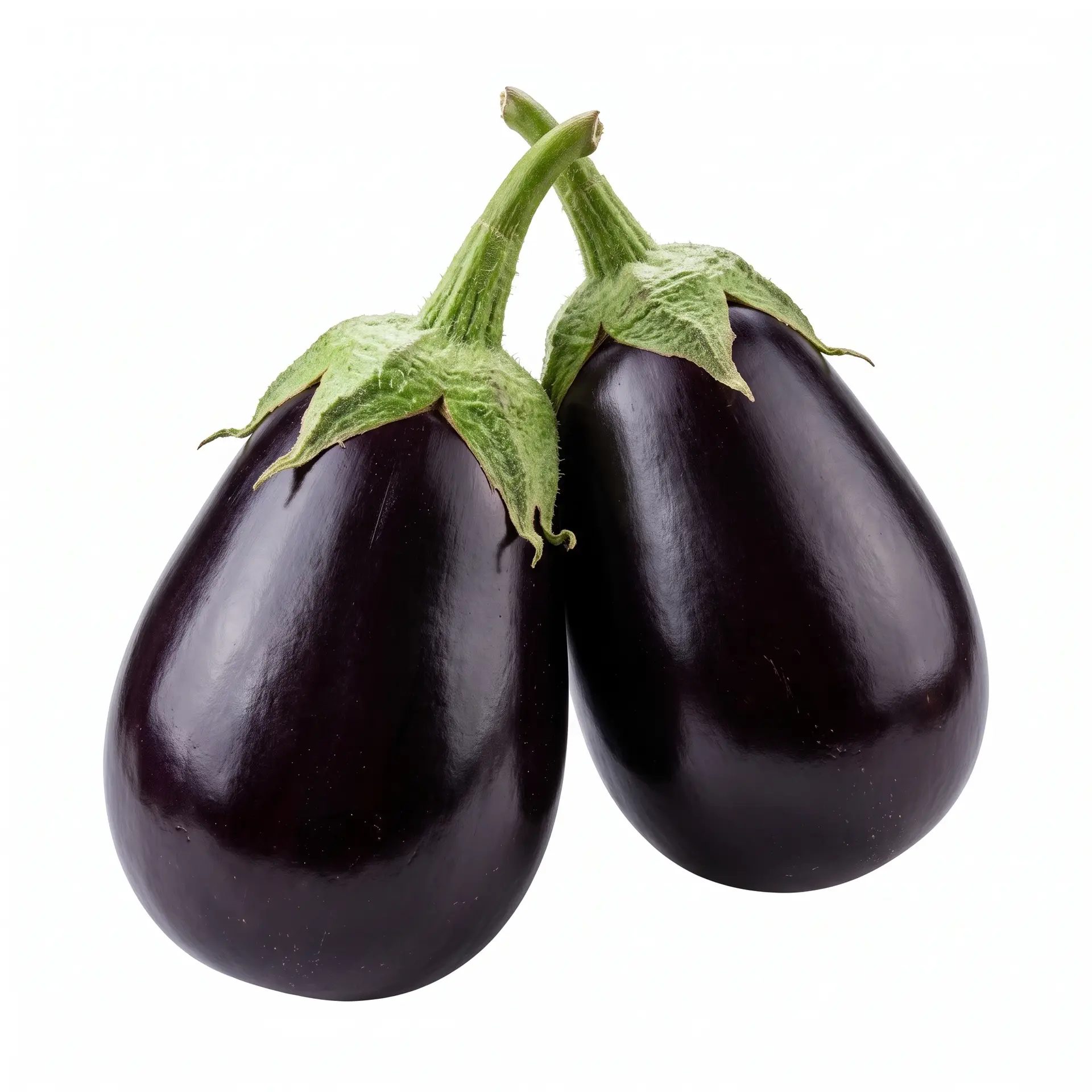 Brinjal Black Beauty F1 Brinjal Black Beauty F1 vegetable seed packet