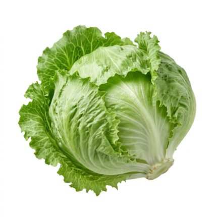 Iceberg Lettuce F1 vegetable seed packet