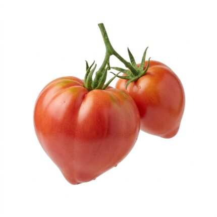 Oxheart Tomato F1 vegetable seed packet