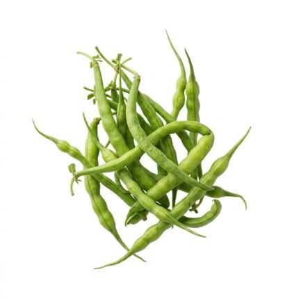 Radish Pods / Mongra vegetable seed packet
