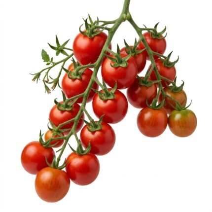 Super Clust Prime Tomato F1 vegetable seed packet