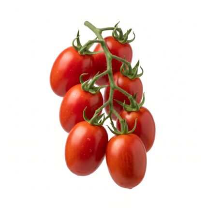 Tomato Rio Grande F1 vegetable seed packet
