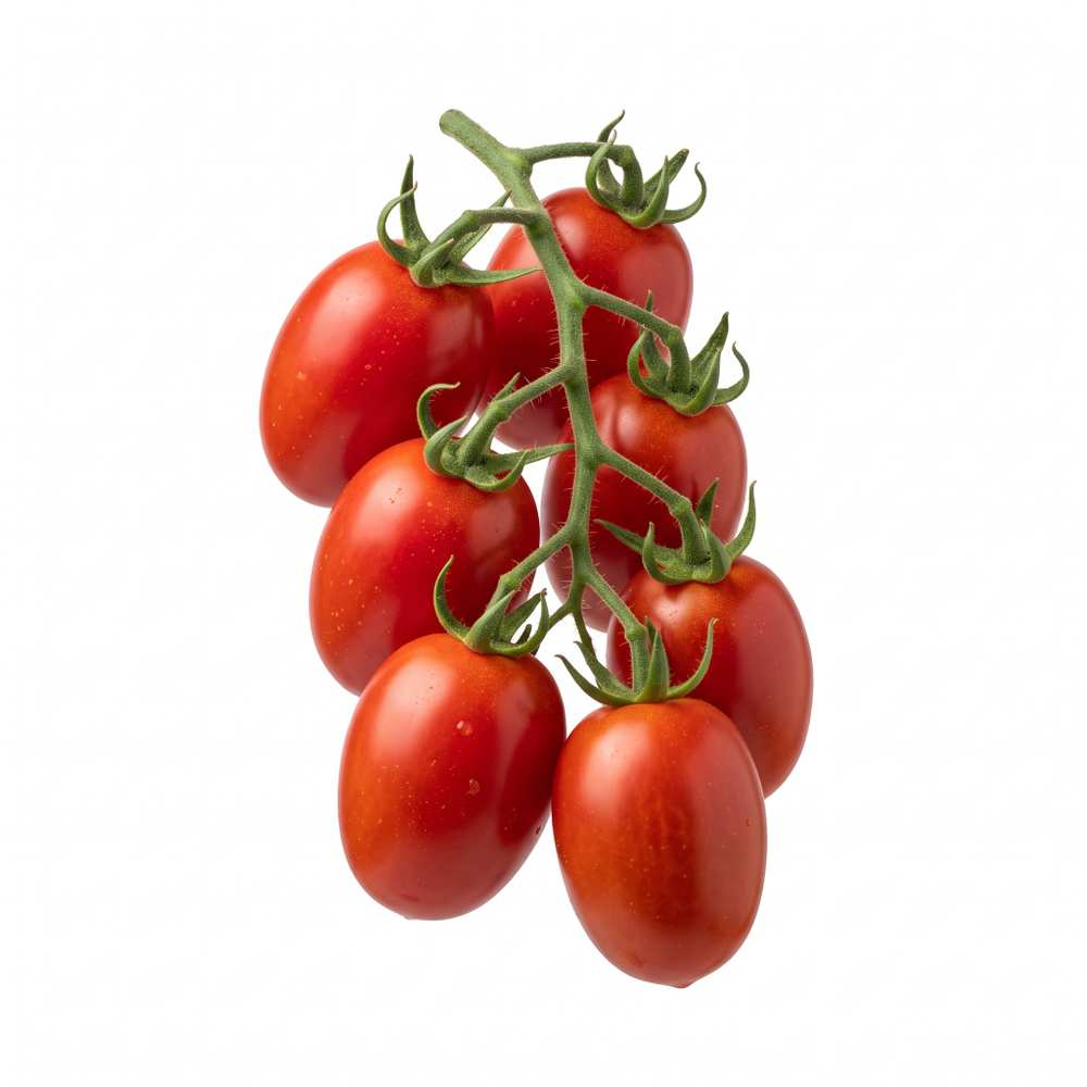 Tomato Rio Grande F1 Tomato Rio Grande F1 vegetable seed packet