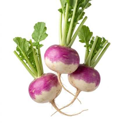 Turnip Purple Top (PTWG) vegetable seed packet