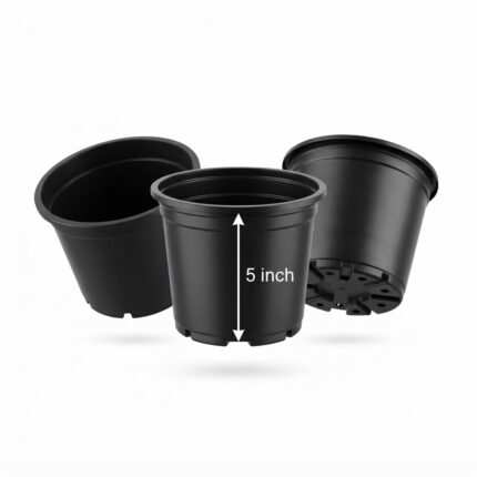 Plastic Pot – 5 Inches, Black