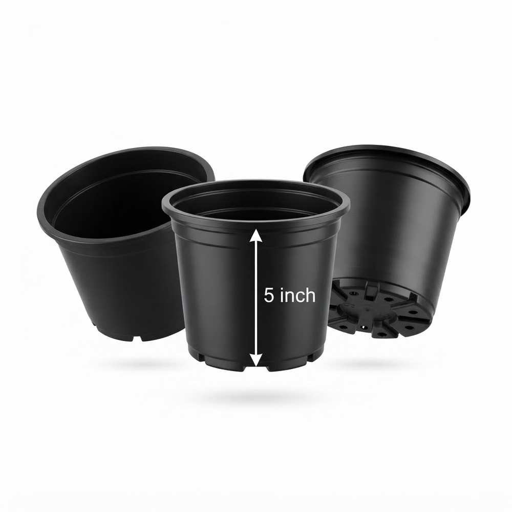 Plastic Pot – 5 Inches, Black
