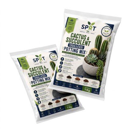 SPRT Cactus & Succulent Potting Mix – Premium 1kg Pack
